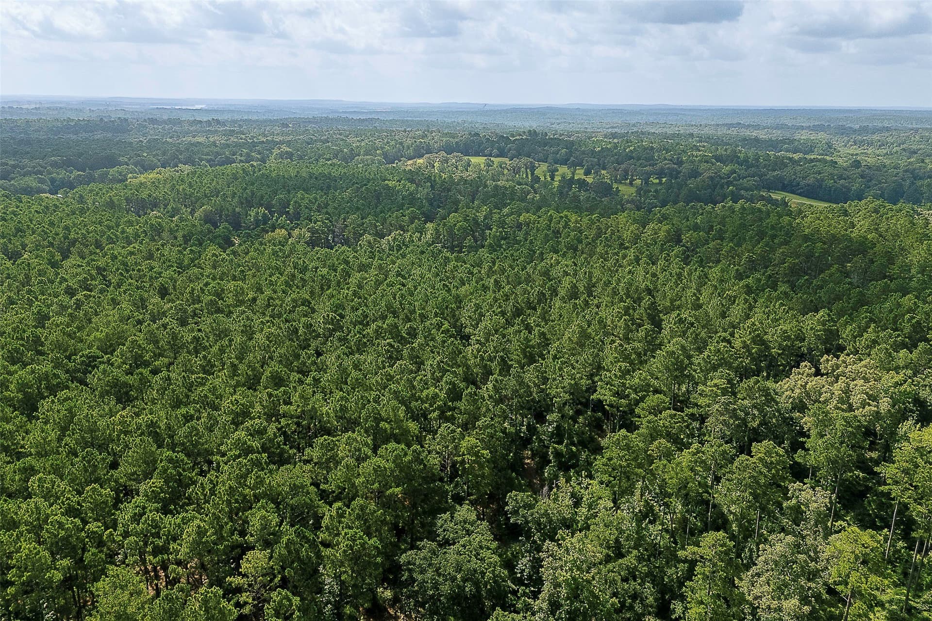 80.96 acres in Rusk County - photo 39