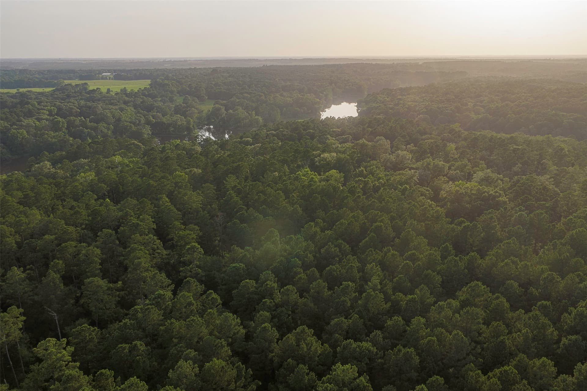 80.96 acres in Rusk County - photo 12