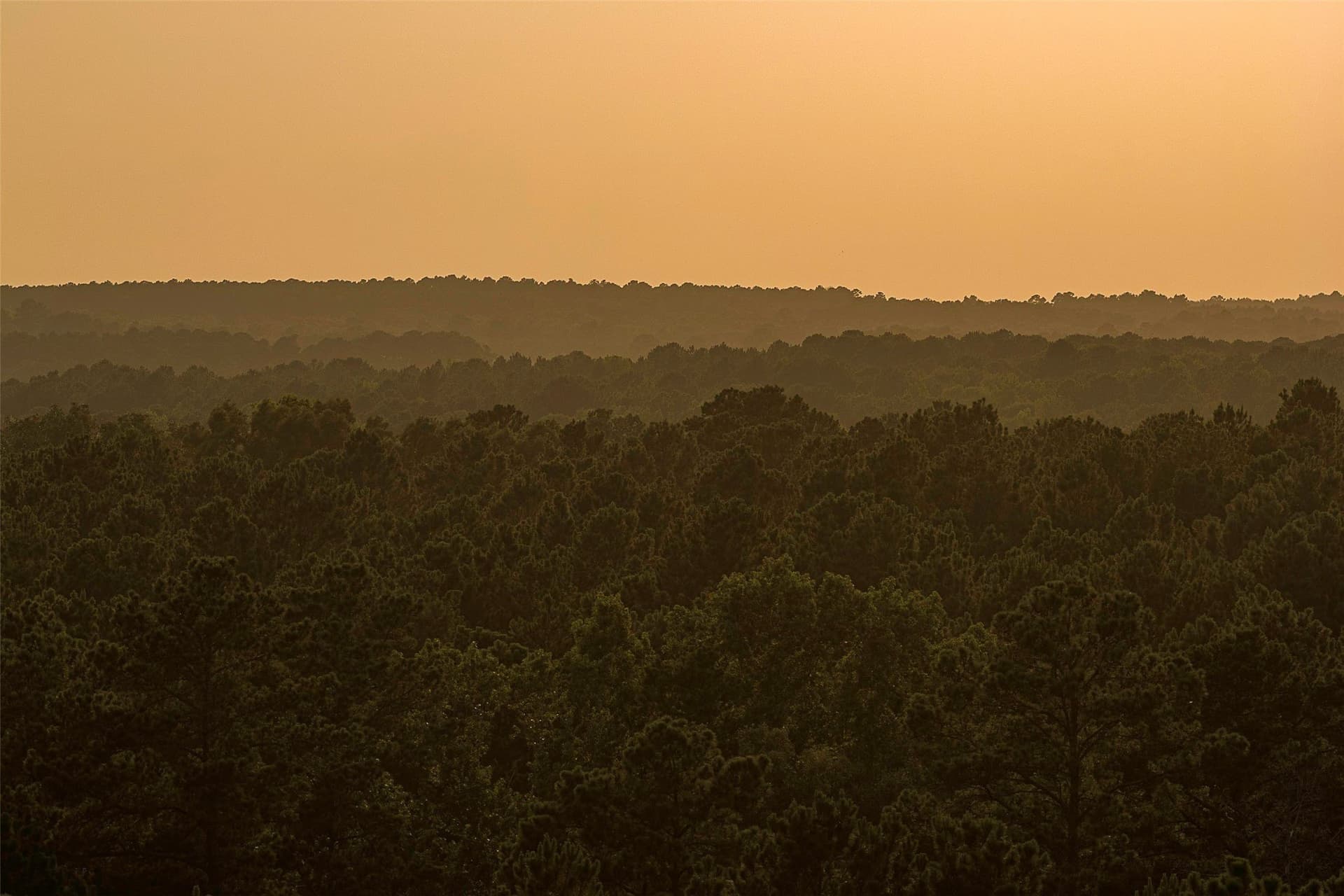 80.96 acres in Rusk County - photo 4
