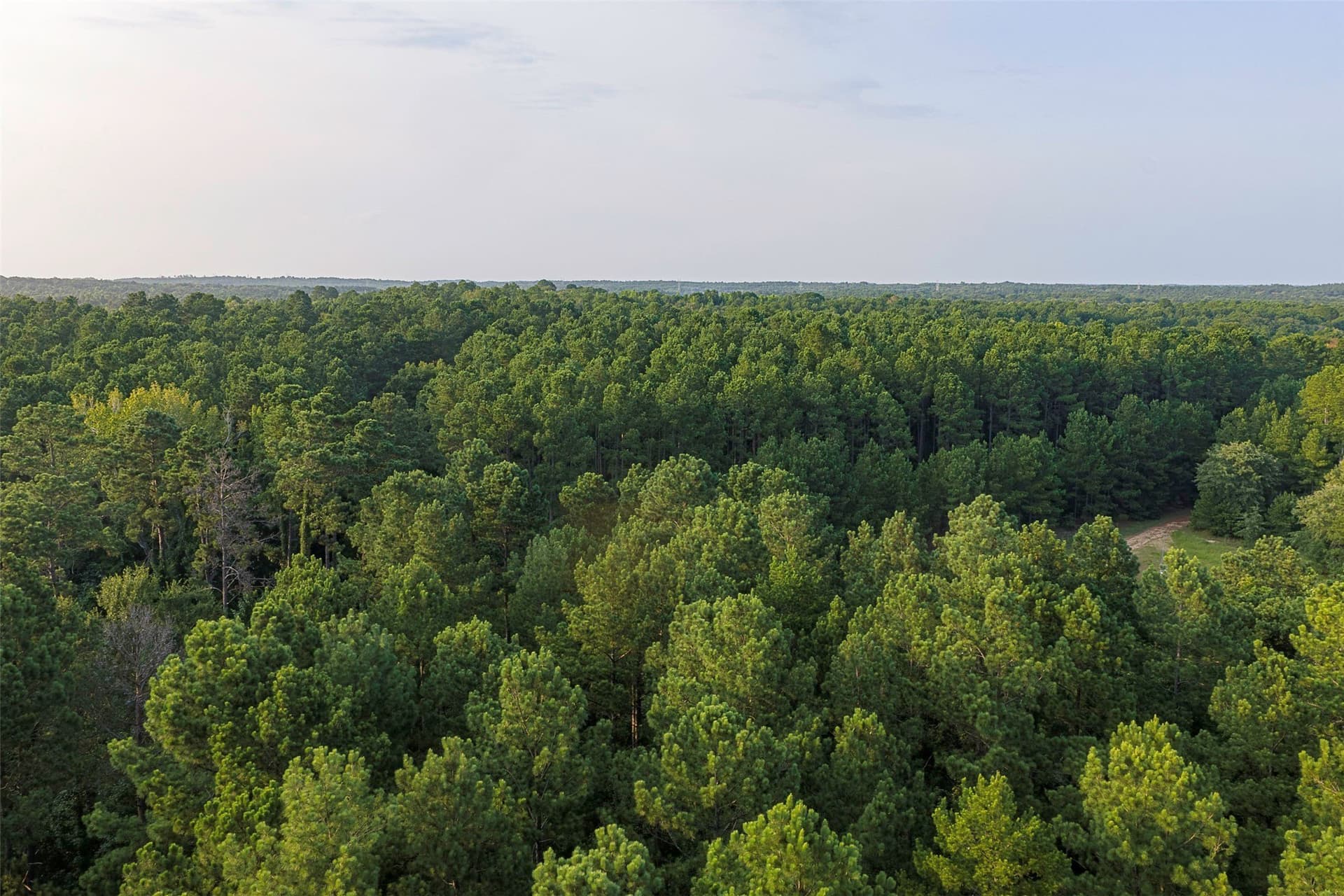 80.96 acres in Rusk County - photo 27