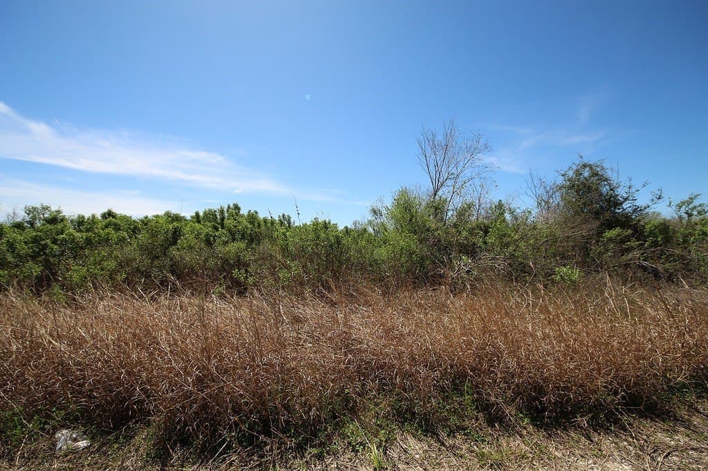 21.66 acres in Brazoria County - photo 20