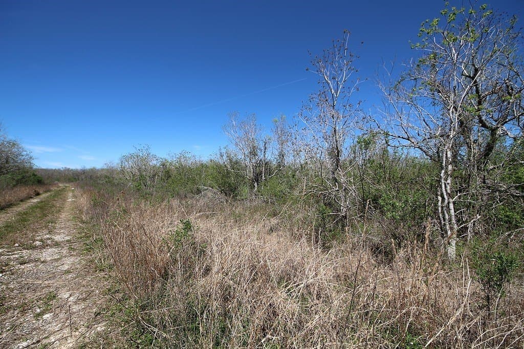 21.66 acres in Brazoria County - photo 19