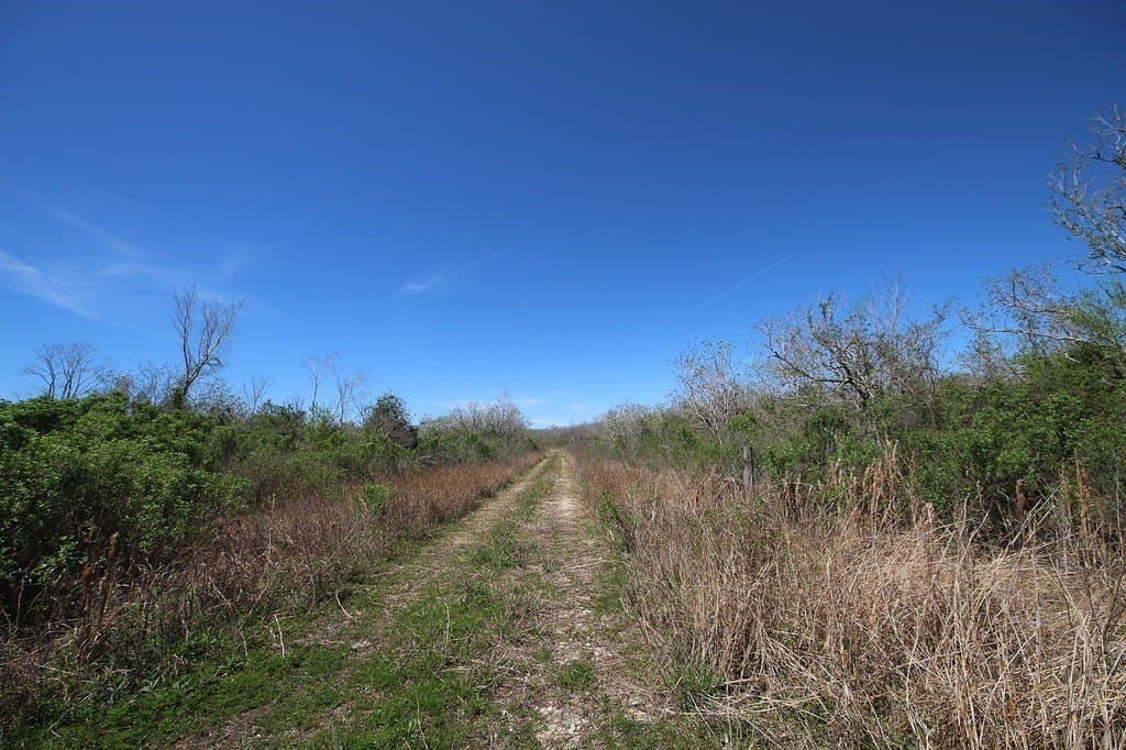 21.66 acres in Brazoria County - photo 18