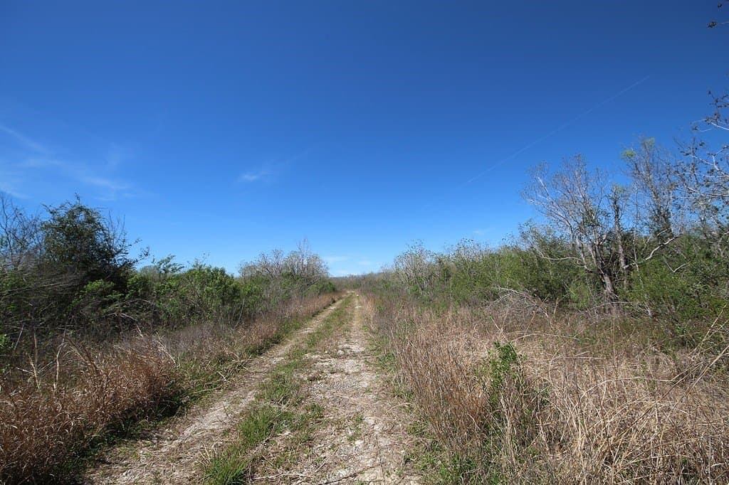 21.66 acres in Brazoria County - photo 17
