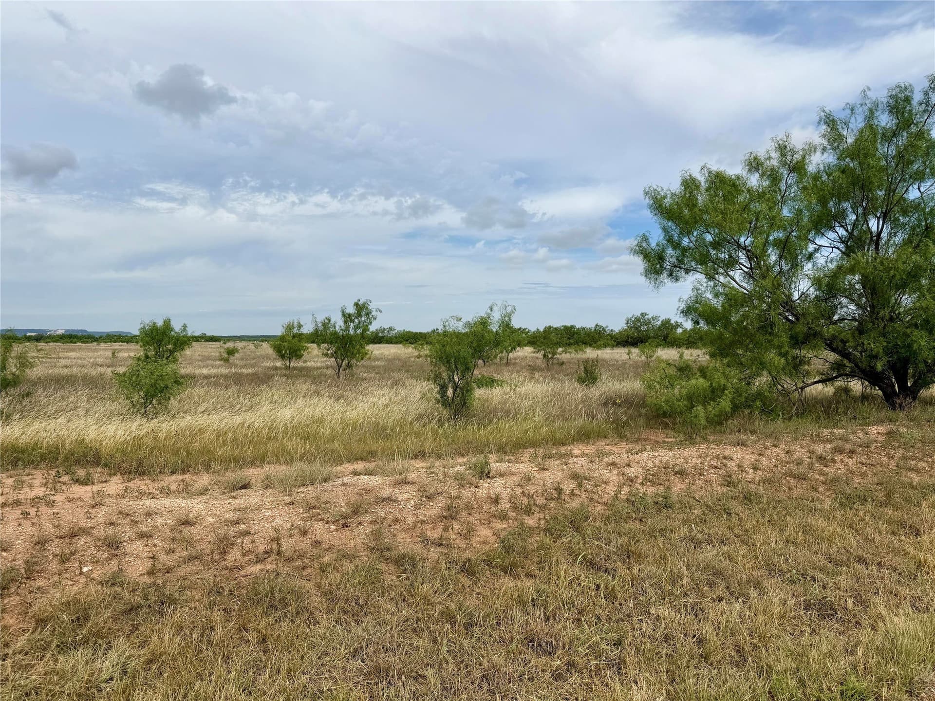 73.62 acres in Taylor County - photo 10