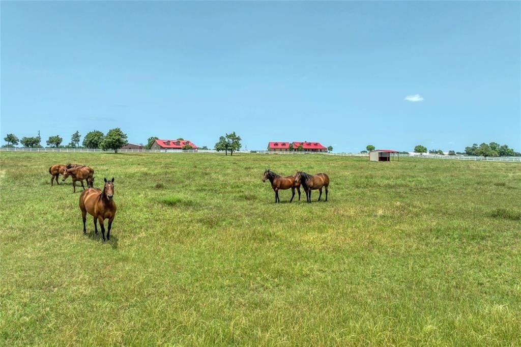 63 acres in Grayson County gallery image 3