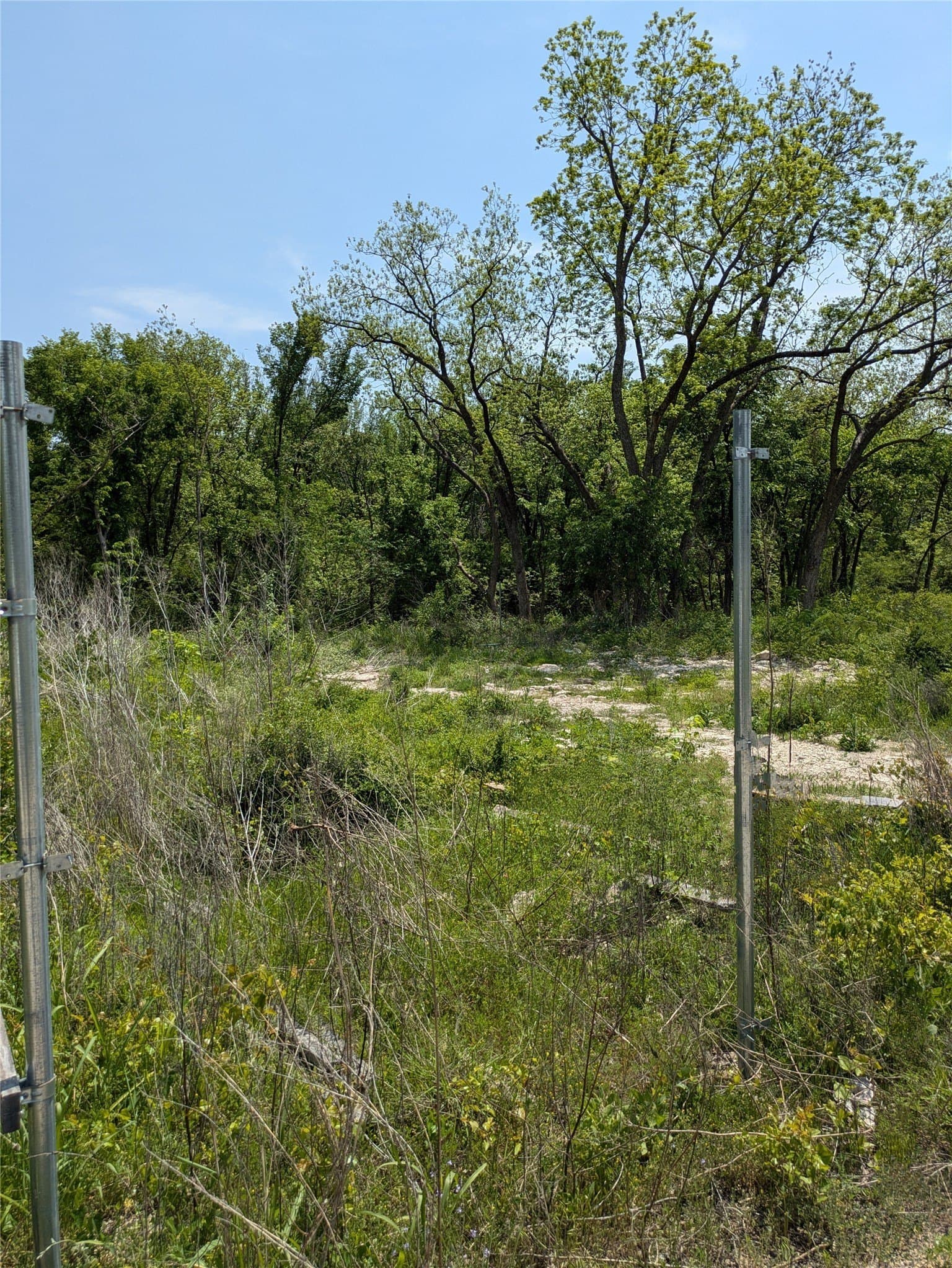 0.13 acres in Dallas County gallery image 2