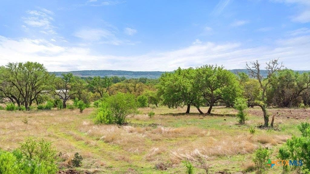10.19 acres in Burnet County gallery image 2