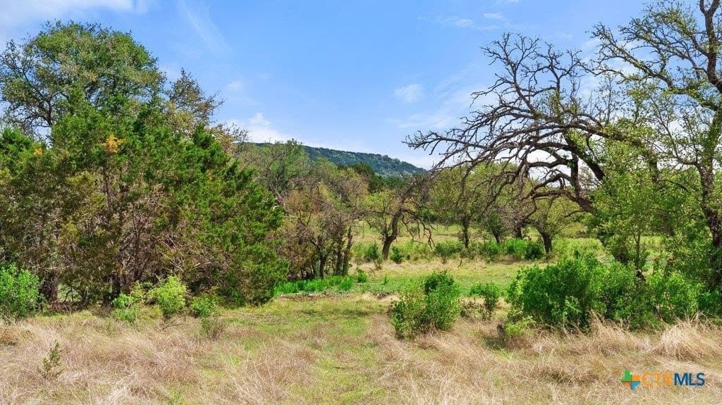 10.19 acres in Burnet County - photo 20