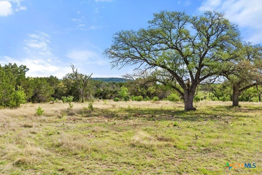 10.19 acres in Burnet County gallery image 3