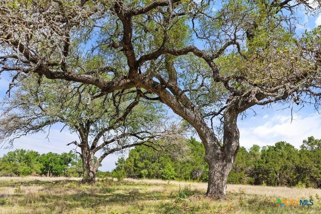 10.19 acres in Burnet County featured view