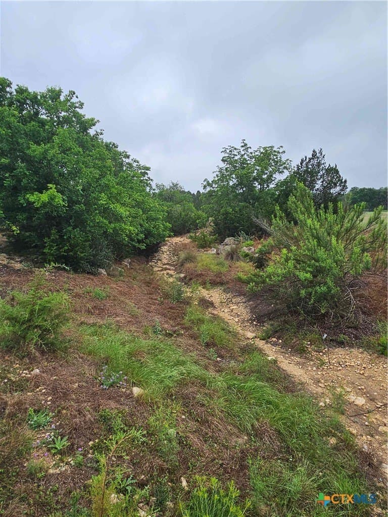 2.01 acres in Blanco County gallery image 3