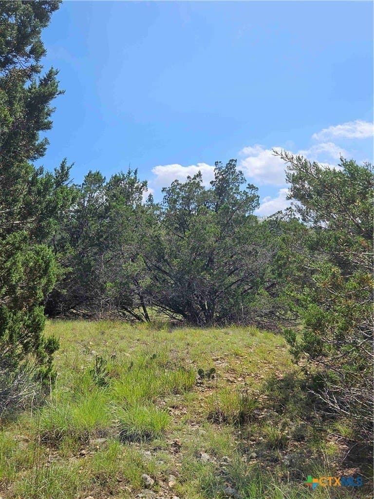 2.01 acres in Blanco County gallery image 4