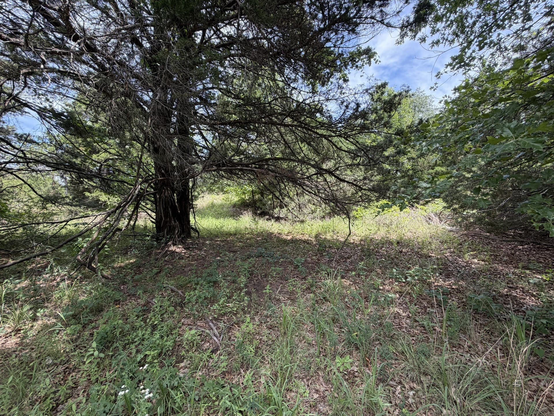 0.31 acres in Grayson County - photo 23