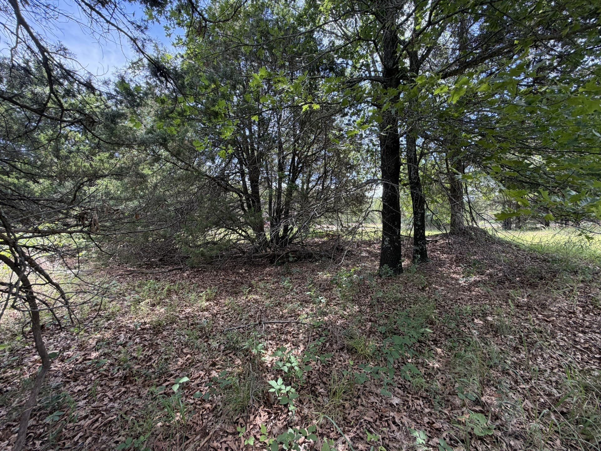 0.31 acres in Grayson County - photo 24