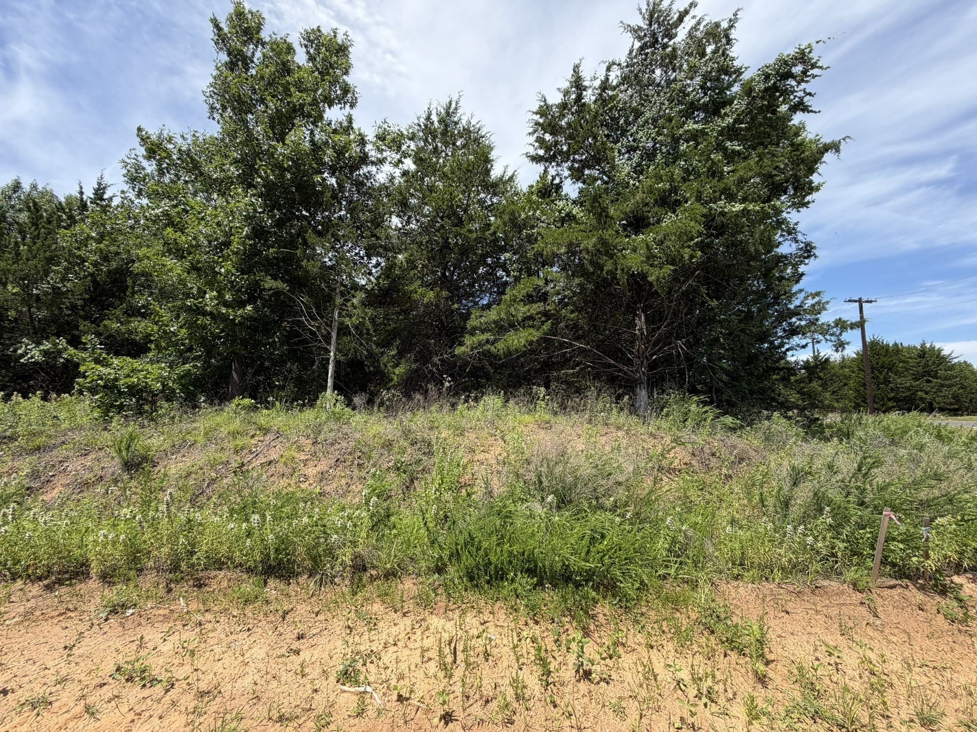 0.31 acres in Grayson County - photo 20