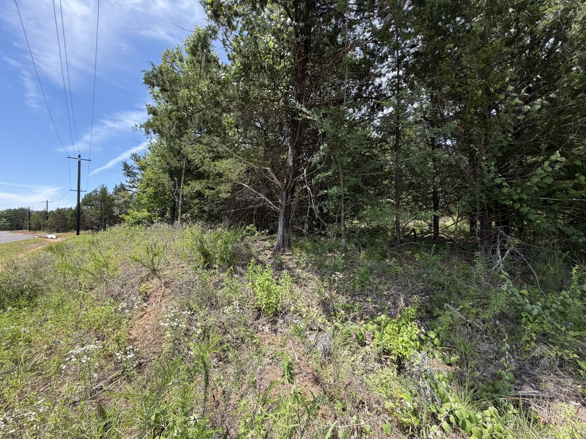 0.31 acres in Grayson County - photo 6