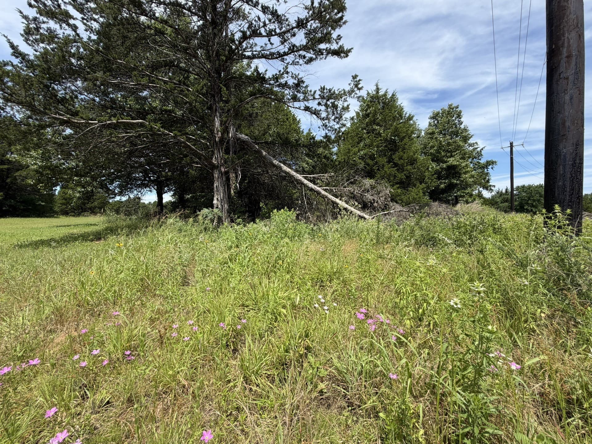 0.31 acres in Grayson County - photo 7