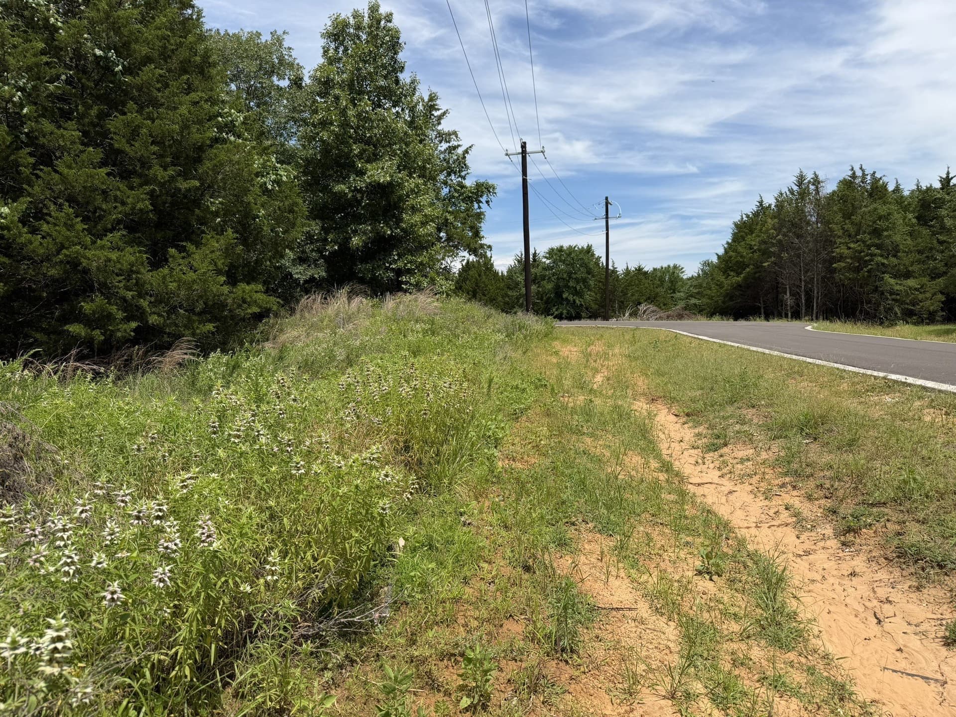 0.31 acres in Grayson County - photo 25