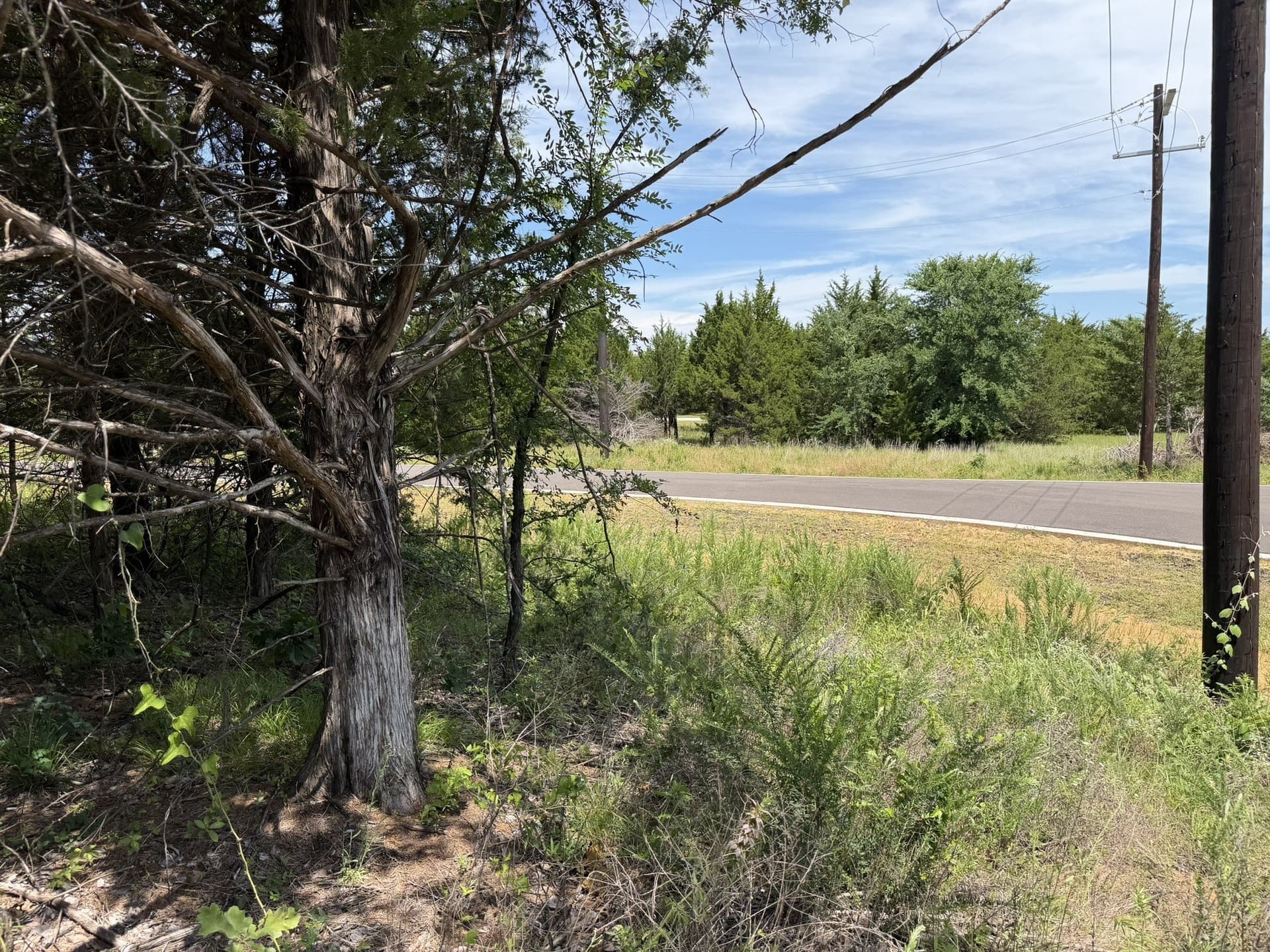 0.31 acres in Grayson County - photo 21