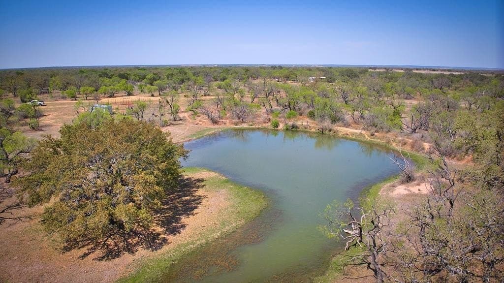 171.66 acres in Mason County gallery image 3