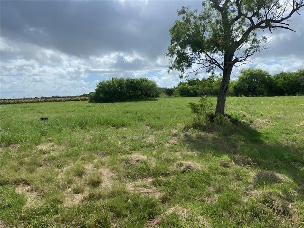 0.44 acres in Refugio County gallery image 2