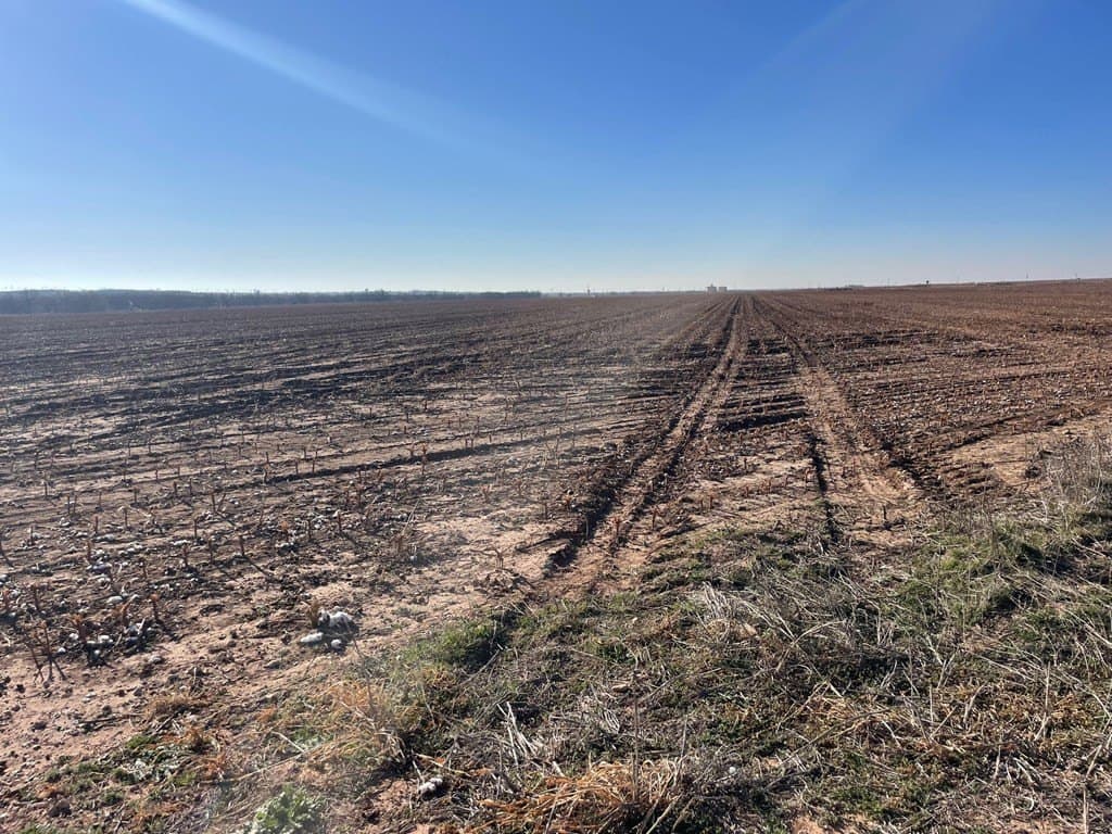 770 acres in Scurry County gallery image 2