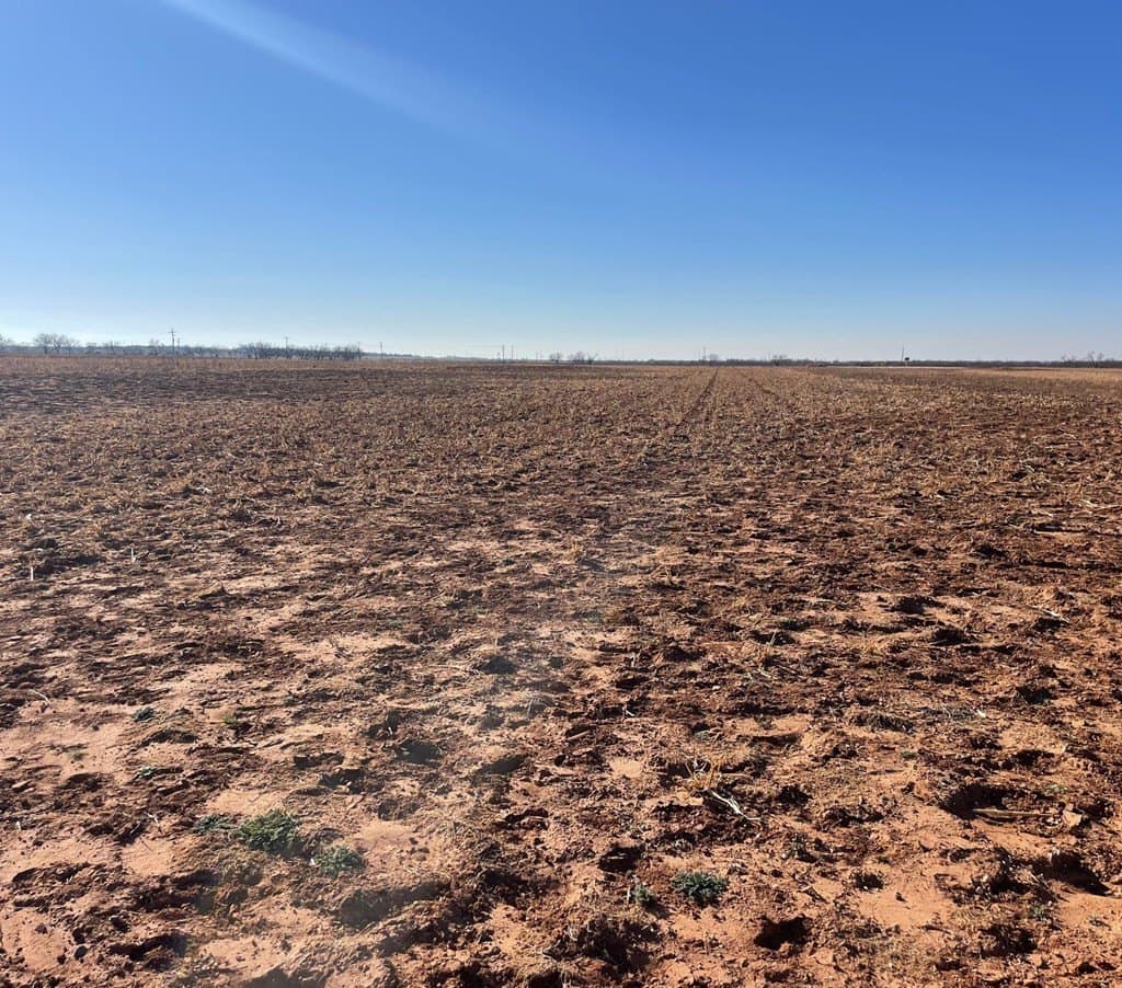 770 acres in Scurry County gallery image 3