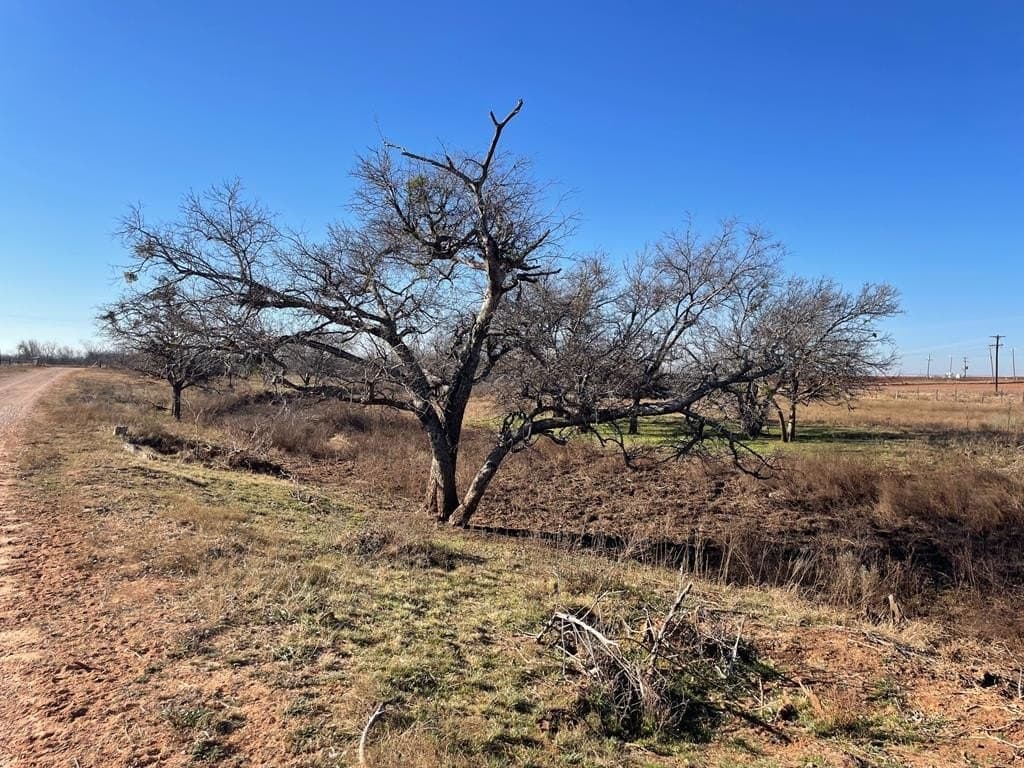 770 acres in Scurry County