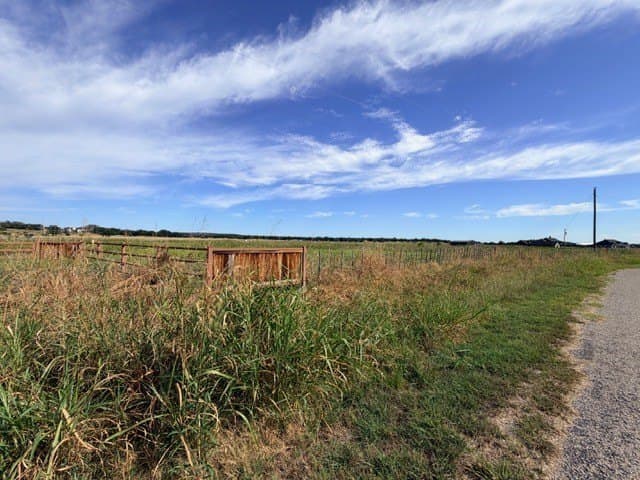10 acres in Palo Pinto County - photo 4