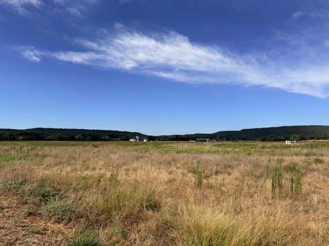 10 acres in Palo Pinto County - photo 8