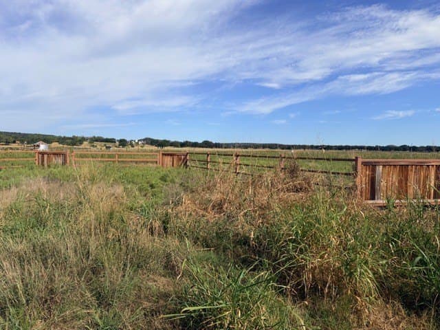 10 acres in Palo Pinto County - photo 3