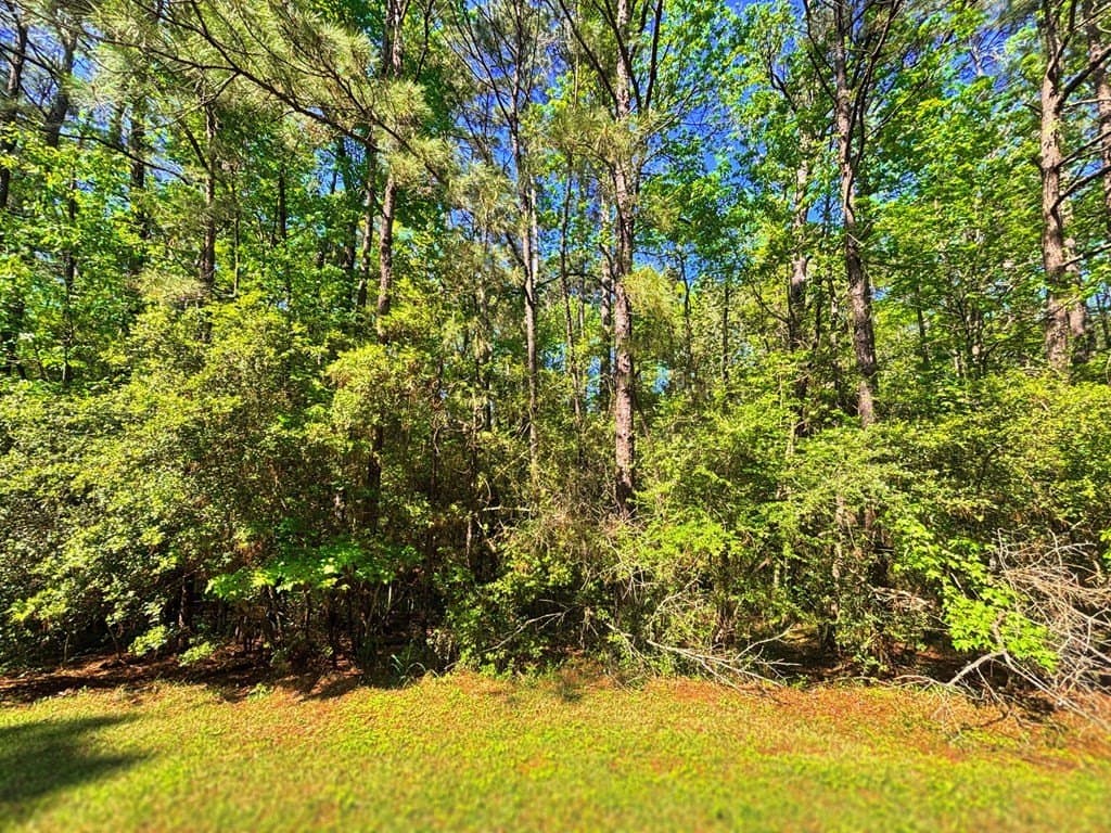 0.5 acres in Texas County gallery image 2