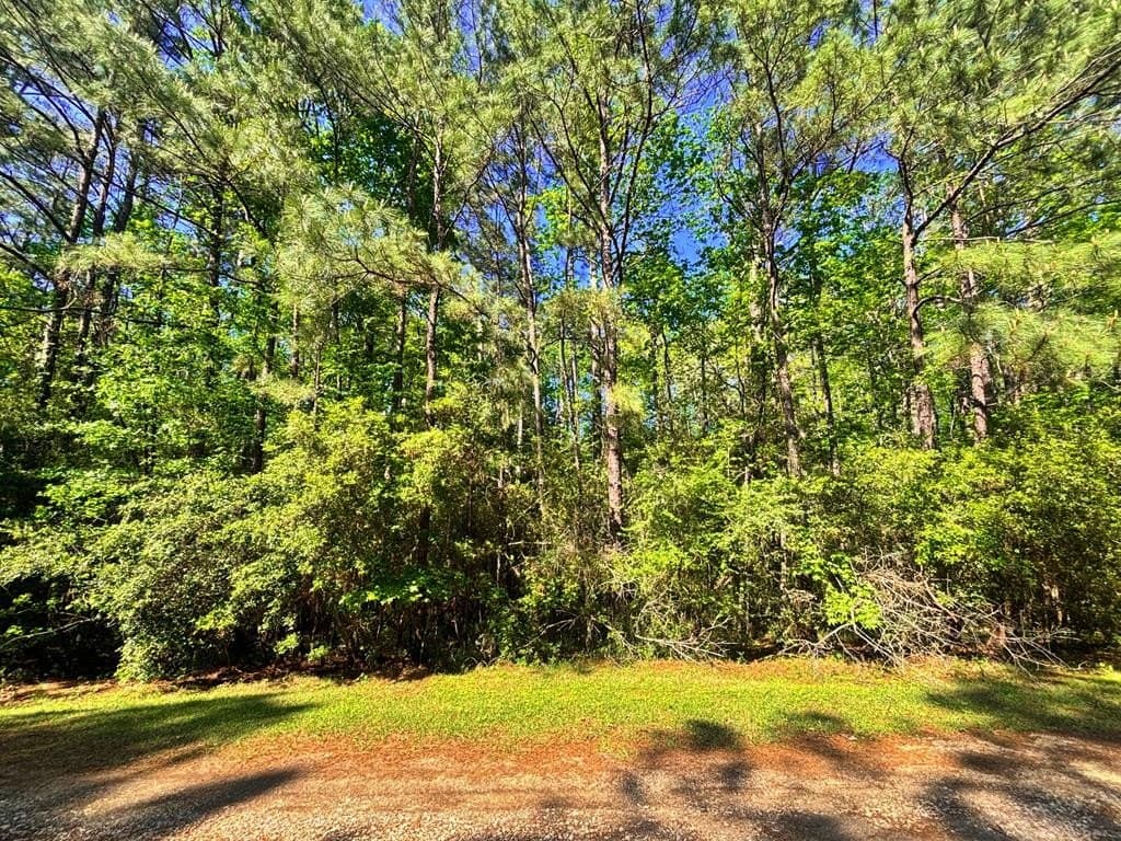 0.5 acres in Texas County