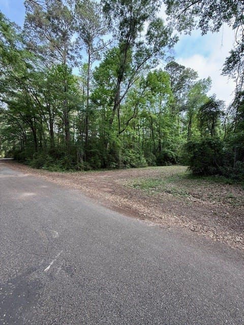 0.35 acres in Texas County gallery image 4