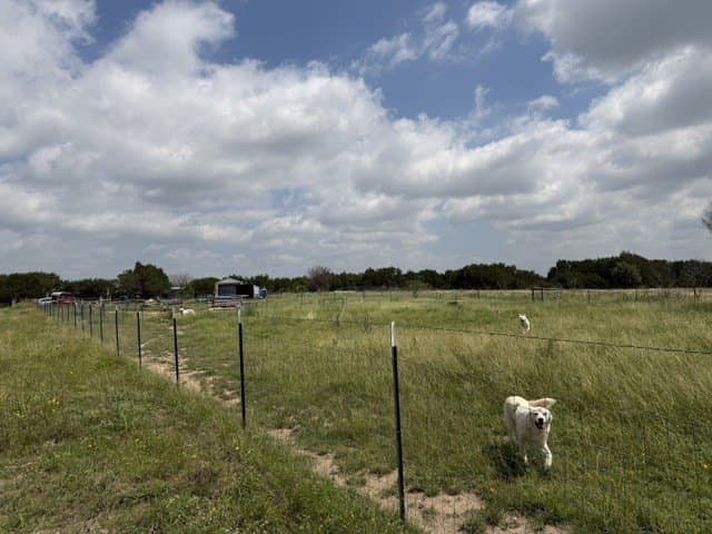 40 acres in Hamilton County - photo 27