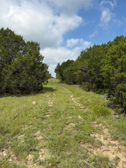 40 acres in Hamilton County - photo 3