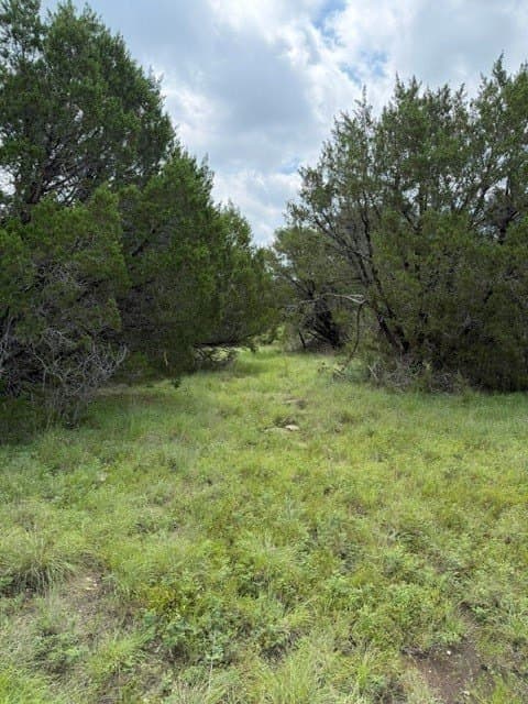 40 acres in Hamilton County - photo 29