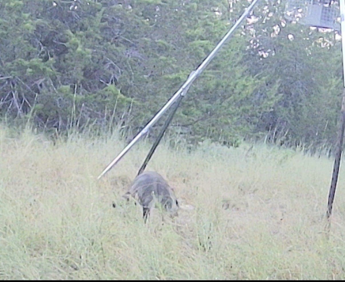 40 acres in Hamilton County - photo 9