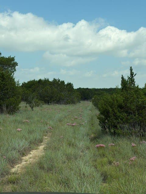40 acres in Hamilton County - photo 40
