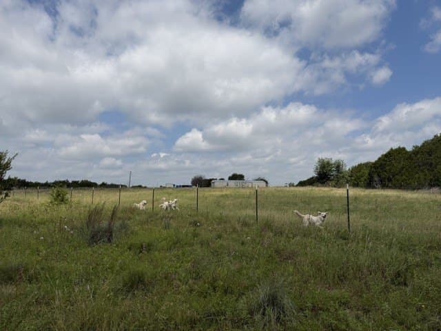 40 acres in Hamilton County - photo 31