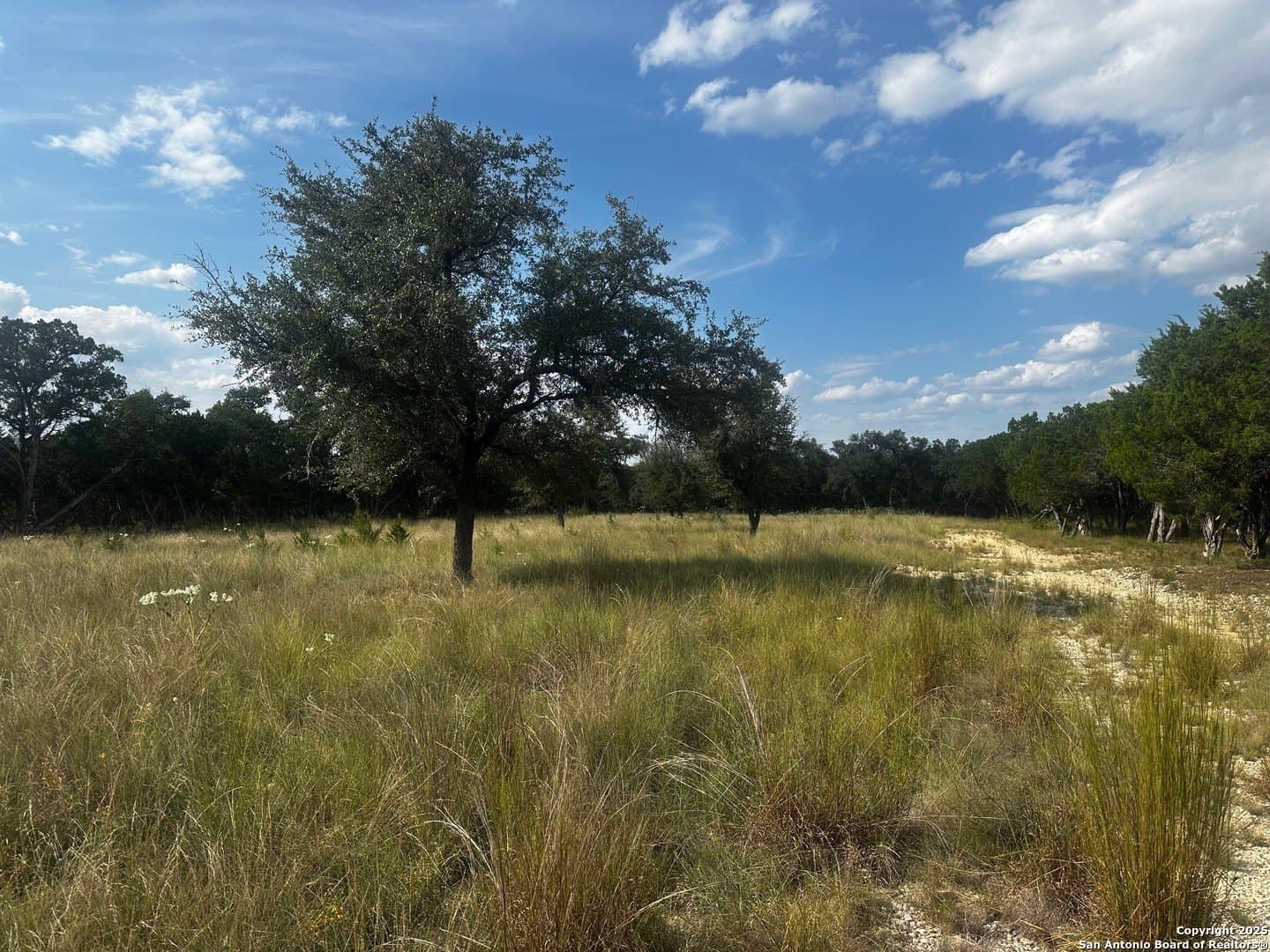 1.91 acres in Bandera County - photo 6