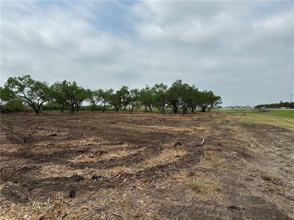 2.2 acres in Jim Wells County - photo 12