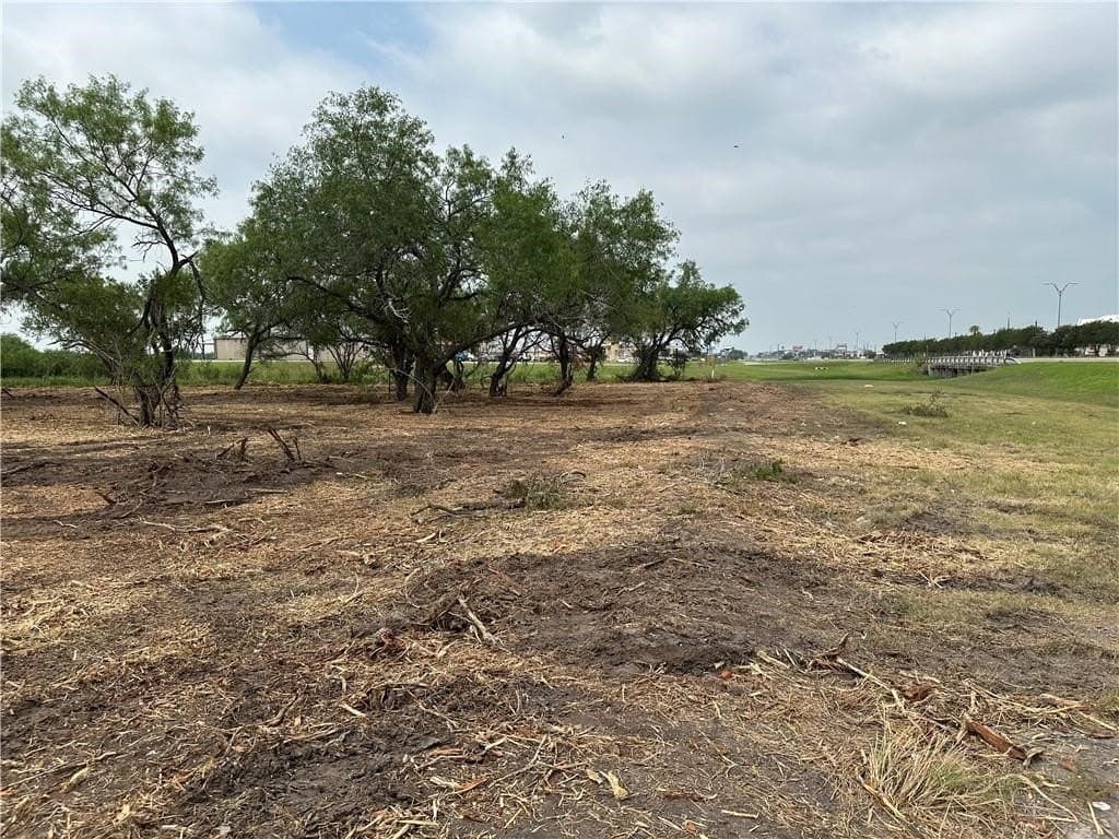 2.2 acres in Jim Wells County - photo 13