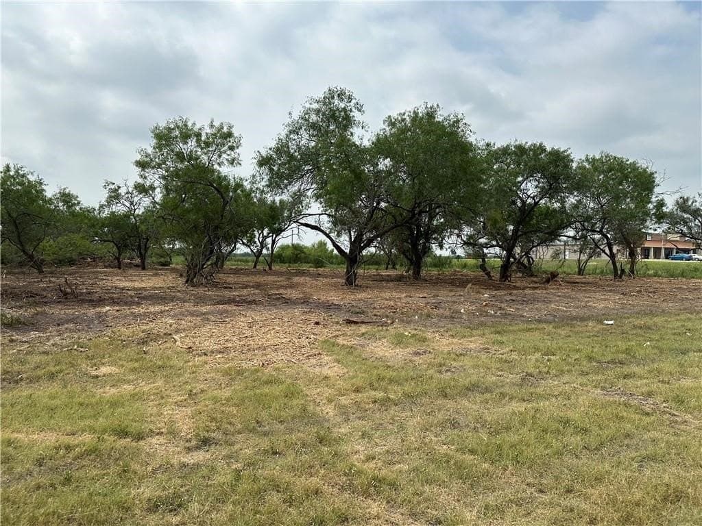 2.2 acres in Jim Wells County - photo 10