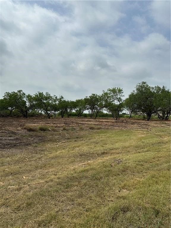 2.2 acres in Jim Wells County - photo 8