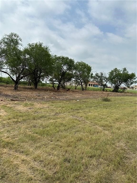 2.2 acres in Jim Wells County - photo 15