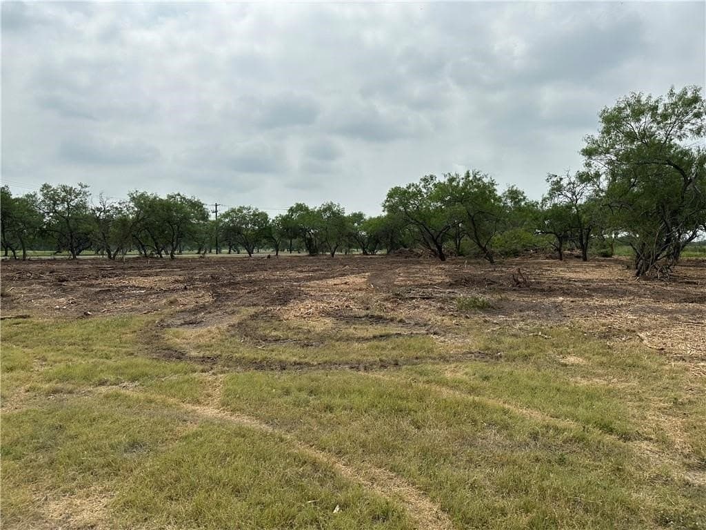2.2 acres in Jim Wells County - photo 9