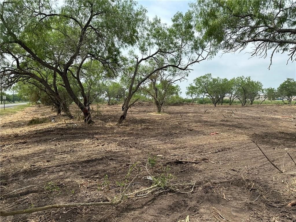 2.2 acres in Jim Wells County - photo 6
