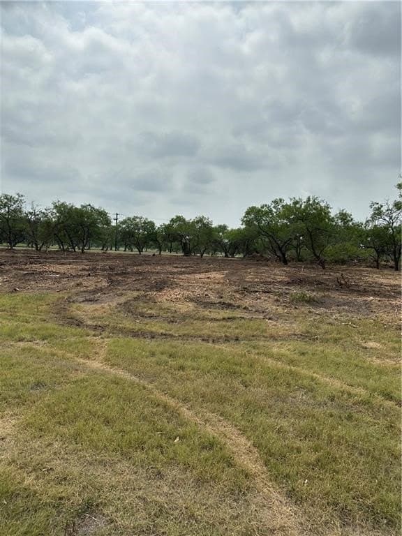 2.2 acres in Jim Wells County - photo 7
